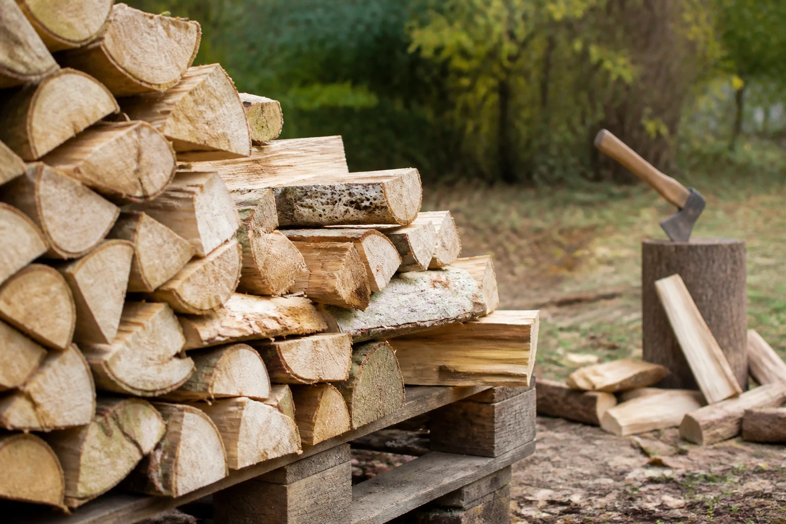 Albizia bois de chauffage : quelle longueur de bûche choisir ?